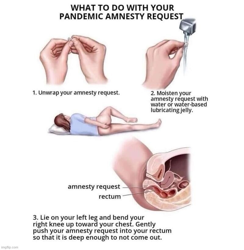 Pandemic Amnesty Request Instructions for Dr. Fauci, Bill Gates, the CDC, and National Institutes of Health | image tagged in nuremberg code,plandemic,amnesty,dr fauci,bill gates,cdc | made w/ Imgflip meme maker