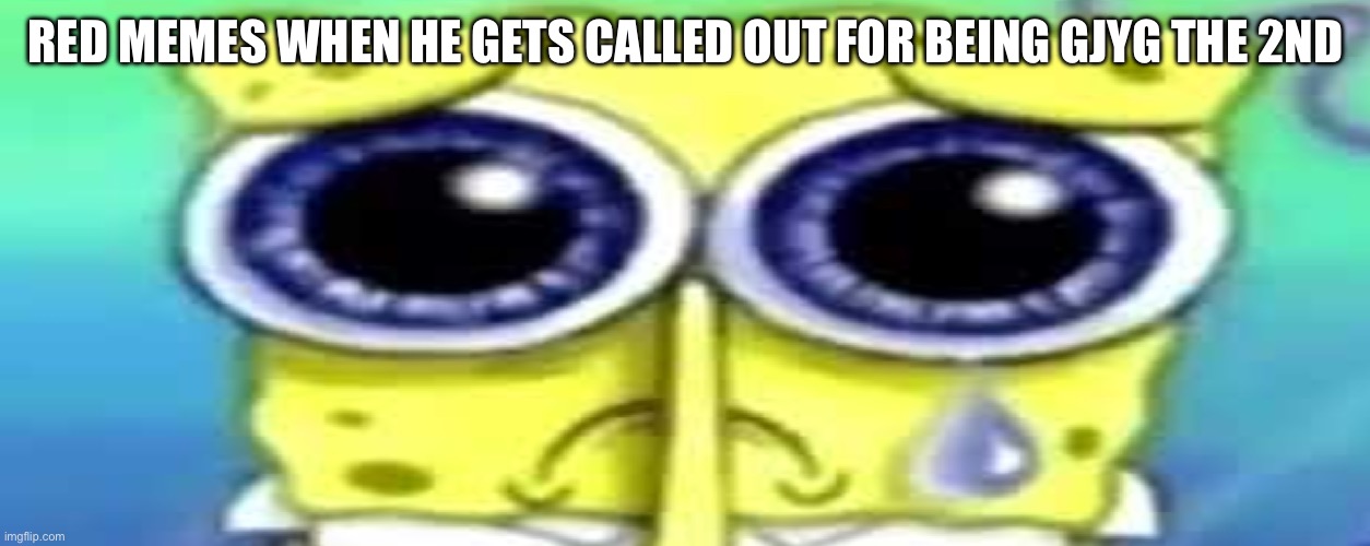 Sad Spong | RED MEMES WHEN HE GETS CALLED OUT FOR BEING GJYG THE 2ND | image tagged in sad spong | made w/ Imgflip meme maker