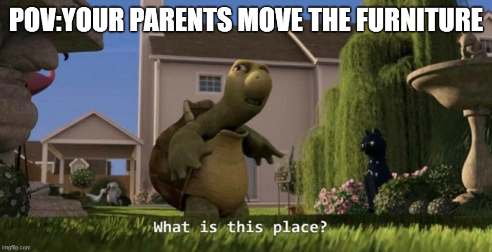 What is this place | POV:YOUR PARENTS MOVE THE FURNITURE | image tagged in what is this place,furniture,scumbag parents | made w/ Imgflip meme maker