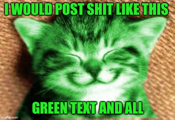 happy RayCat | I WOULD POST SHIT LIKE THIS GREEN TEXT AND ALL | image tagged in happy raycat | made w/ Imgflip meme maker