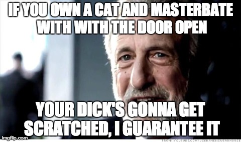 I Guarantee It | IF YOU OWN A CAT AND MASTERBATE WITH WITH THE DOOR OPEN YOUR DICK'S GONNA GET SCRATCHED, I GUARANTEE IT | image tagged in memes,i guarantee it | made w/ Imgflip meme maker