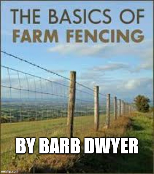 meme by Brad book on fencing by Barb Dwyer | BY BARB DWYER | image tagged in fun,funny,books,funny memes,humor | made w/ Imgflip meme maker