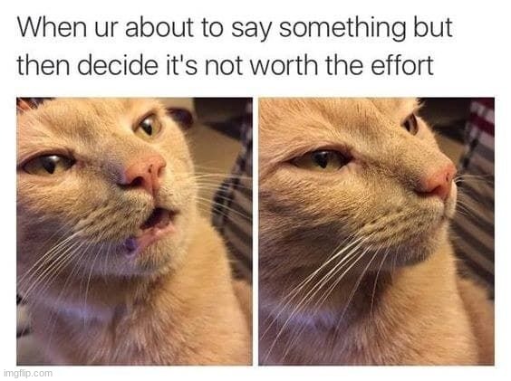 Not doing allat | image tagged in memes,funny,cats | made w/ Imgflip meme maker