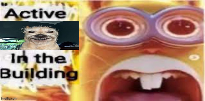 Active [Insert Situation Here] In the Building | image tagged in active insert situation here in the building | made w/ Imgflip meme maker
