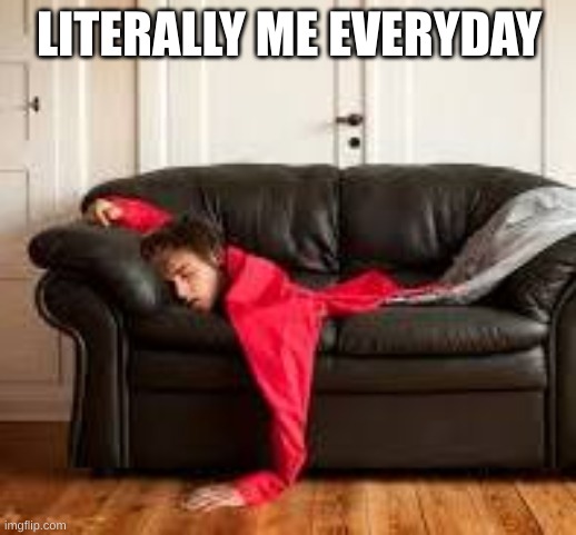 LITERALLY ME EVERYDAY | made w/ Imgflip meme maker