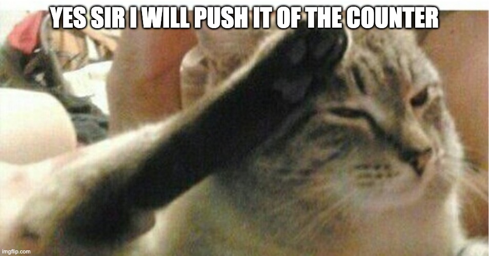 Cat of Honor | YES SIR I WILL PUSH IT OF THE COUNTER | image tagged in cat of honor | made w/ Imgflip meme maker