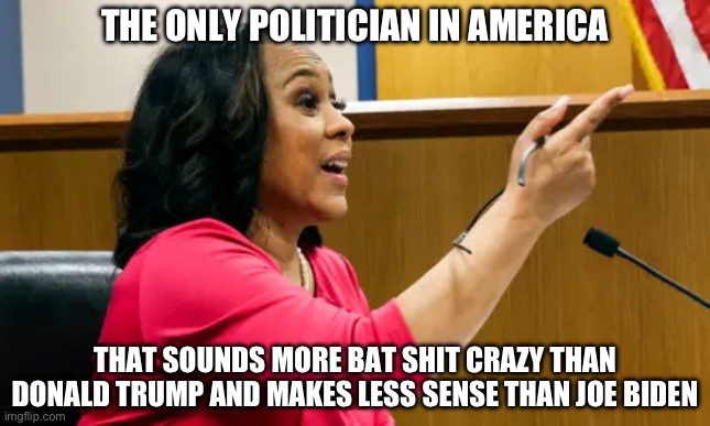 Psycho Fanny Willis | THE ONLY POLITICIAN IN AMERICA; THAT SOUNDS MORE BAT SHIT CRAZY THAN DONALD TRUMP AND MAKES LESS SENSE THAN JOE BIDEN | image tagged in psycho fanny willis,liberal logic,stupid liberals,donald trump,joe biden,new normal | made w/ Imgflip meme maker