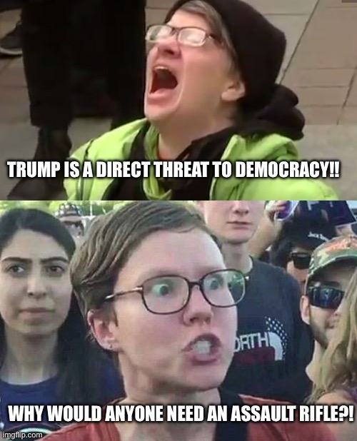 Cognitive dissonance | TRUMP IS A DIRECT THREAT TO DEMOCRACY!! WHY WOULD ANYONE NEED AN ASSAULT RIFLE?! | image tagged in screaming liberal,triggered liberal | made w/ Imgflip meme maker