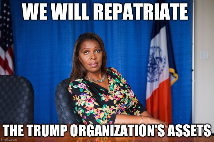 Letitia James | WE WILL REPATRIATE; THE TRUMP ORGANIZATION’S ASSETS | image tagged in letitia james,communism,liberal logic,new normal,police state,donald trump | made w/ Imgflip meme maker