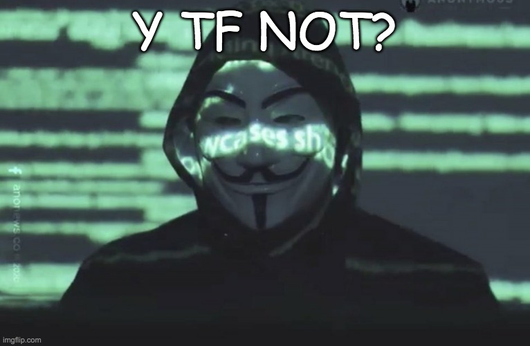 Anonymous | Y TF NOT? | image tagged in anonymous | made w/ Imgflip meme maker