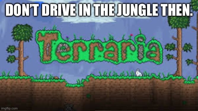 terraria lol | DON’T DRIVE IN THE JUNGLE THEN. | image tagged in terraria lol | made w/ Imgflip meme maker