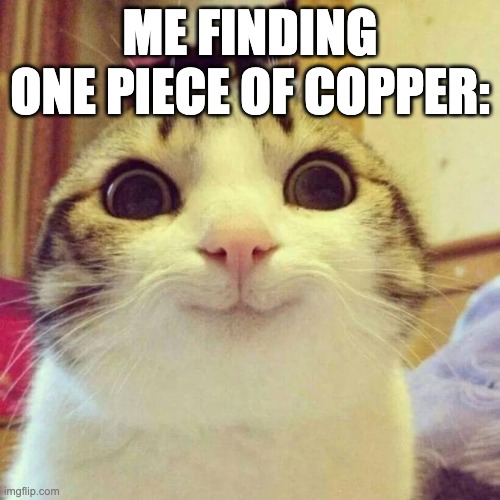 Smiling Cat Meme | ME FINDING ONE PIECE OF COPPER: | image tagged in memes,smiling cat | made w/ Imgflip meme maker