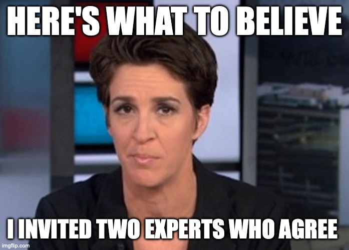 Fake News | HERE'S WHAT TO BELIEVE; I INVITED TWO EXPERTS WHO AGREE | image tagged in rachel maddow | made w/ Imgflip meme maker