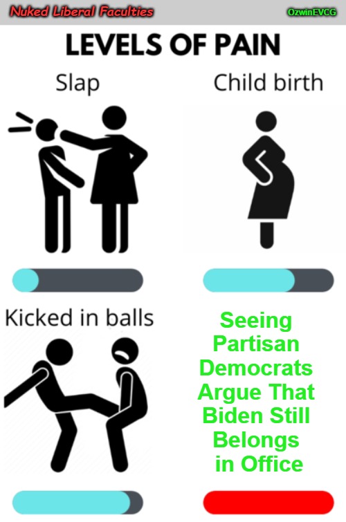 Nuked Liberal Faculties | OzwinEVCG; Nuked Liberal Faculties; Seeing 

Partisan 

Democrats 

Argue That 

Biden Still 

Belongs 

in Office | image tagged in levels of pain,joe biden,dementia,clown show,partisanship,democratic party | made w/ Imgflip meme maker