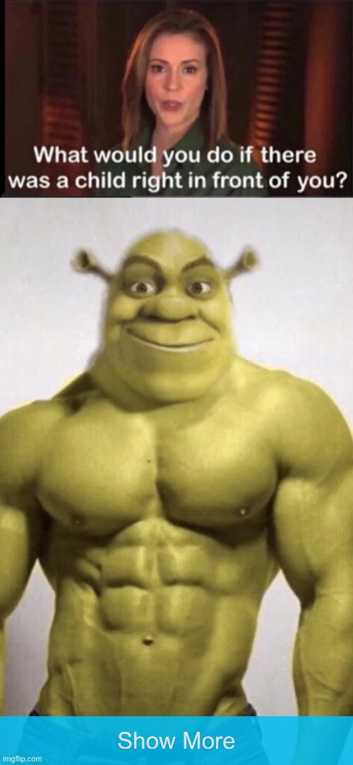 Smash | image tagged in what would you do if there was a child right in front of you,sexy shrek | made w/ Imgflip meme maker