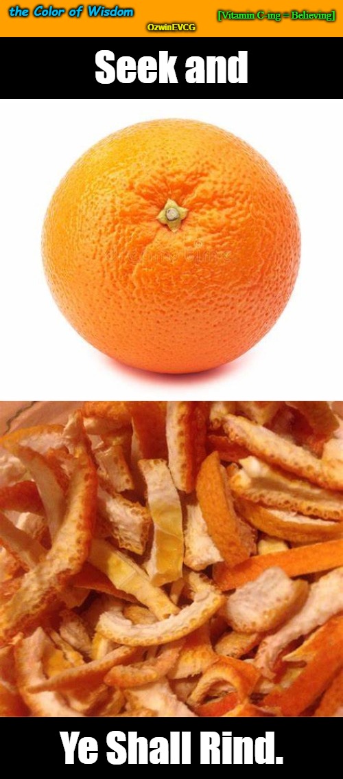 the Color of Wisdom | the Color of Wisdom; [Vitamin C-ing = Believing]; OzwinEVCG; Seek and; Ye Shall Rind. | image tagged in oranges,eyerolls,words of wisdom,seek,find,silly | made w/ Imgflip meme maker