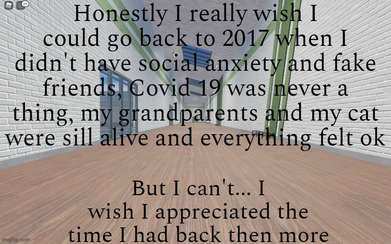 I'm ok I just really miss my cat and my grandparents. Also Covid gave me social anxiety lol | Honestly I really wish I could go back to 2017 when I didn't have social anxiety and fake friends, Covid 19 was never a thing, my grandparents and my cat were sill alive and everything felt ok; But I can't... I wish I appreciated the time I had back then more | image tagged in four corners,life sucks | made w/ Imgflip meme maker