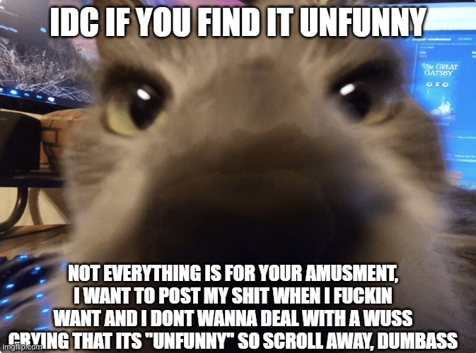 idc if you find it unfunny | image tagged in idc if you find it unfunny | made w/ Imgflip meme maker