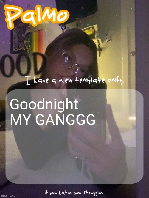 Goodnight MY GANGGG | image tagged in palmo 40 follower template thx doggie | made w/ Imgflip meme maker