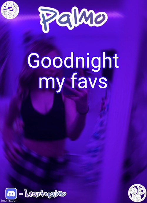Goodnight my favs | image tagged in palmo or sum announcem follow me | made w/ Imgflip meme maker