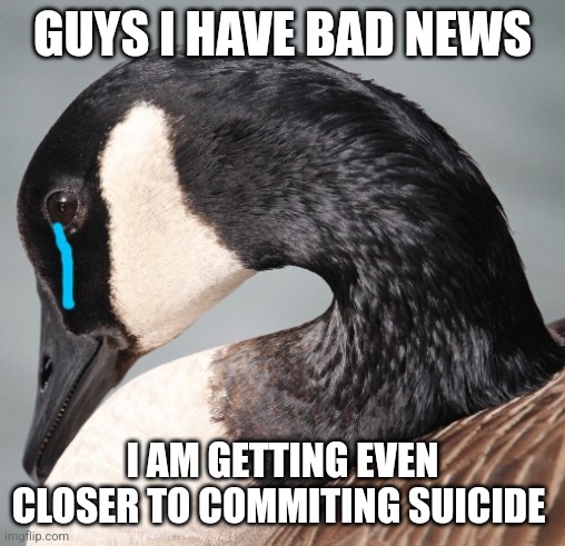 Sad Canada goose | GUYS I HAVE BAD NEWS; I AM GETTING EVEN CLOSER TO COMMITING SUICIDE | image tagged in sad canada goose | made w/ Imgflip meme maker