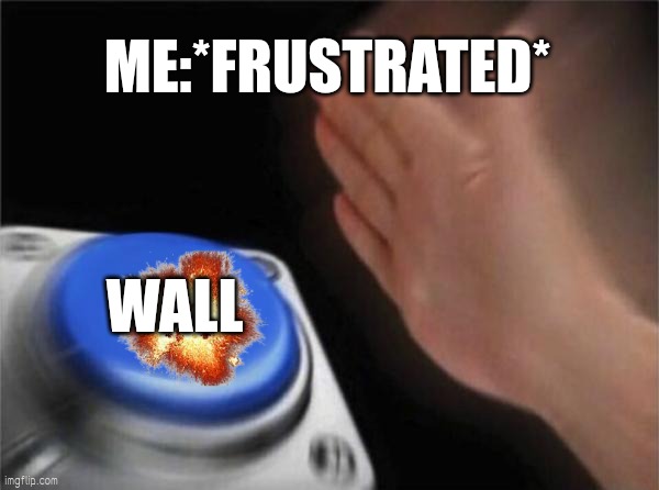 ? | ME:*FRUSTRATED*; WALL | image tagged in memes,blank nut button | made w/ Imgflip meme maker