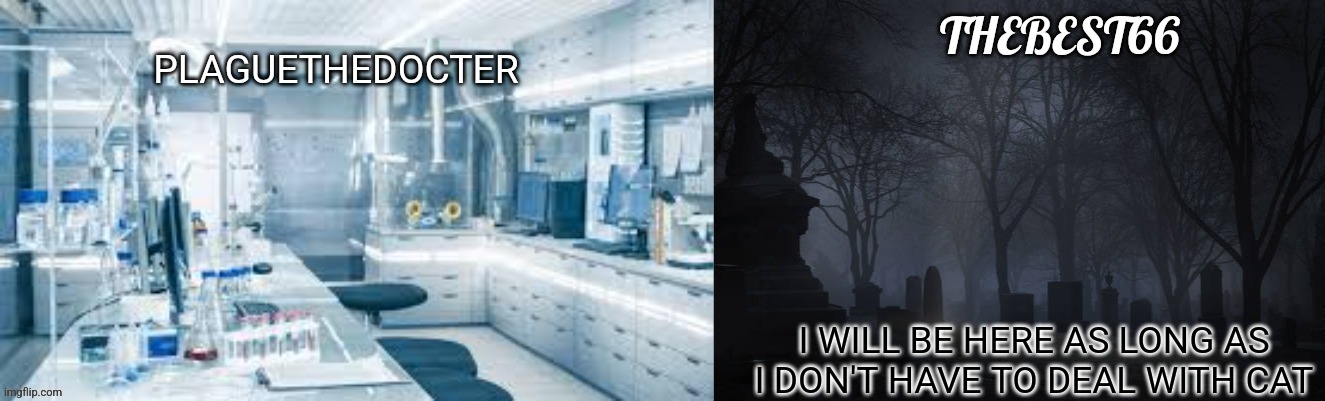 Plaguethedocter and Thebest66 | I WILL BE HERE AS LONG AS I DON'T HAVE TO DEAL WITH CAT | image tagged in plaguethedocter and thebest66 | made w/ Imgflip meme maker