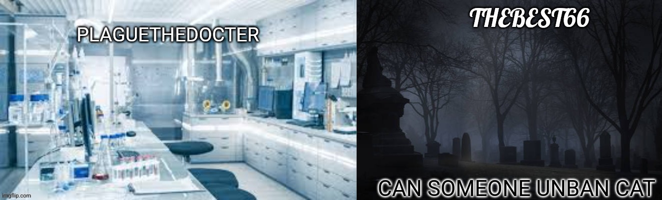 Plaguethedocter and Thebest66 | CAN SOMEONE UNBAN CAT | image tagged in plaguethedocter and thebest66 | made w/ Imgflip meme maker