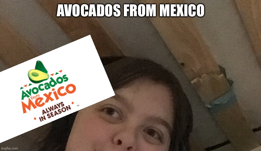 AVOCADOS FROM MEXICO | made w/ Imgflip meme maker
