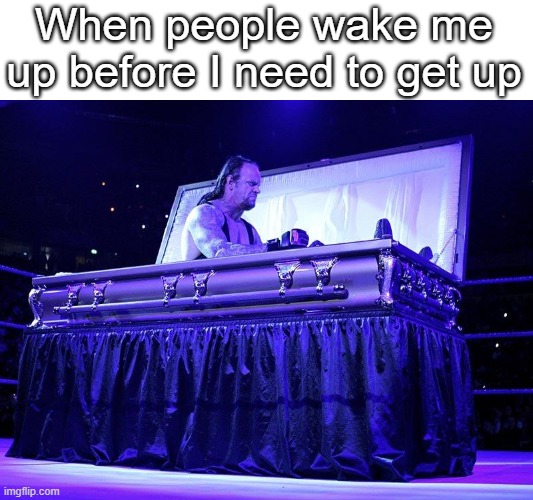 Undertaker Coffin | When people wake me up before I need to get up | image tagged in undertaker coffin | made w/ Imgflip meme maker