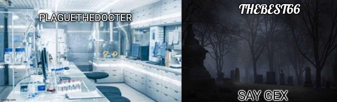 Plaguethedocter and Thebest66 | SAY GEX | image tagged in plaguethedocter and thebest66 | made w/ Imgflip meme maker