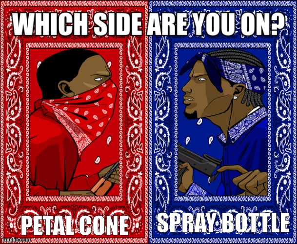 WHICH SIDE ARE YOU ON? | PETAL CONE SPRAY BOTTLE | image tagged in which side are you on | made w/ Imgflip meme maker