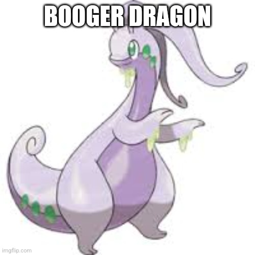 goodra | BOOGER DRAGON | image tagged in goodra | made w/ Imgflip meme maker