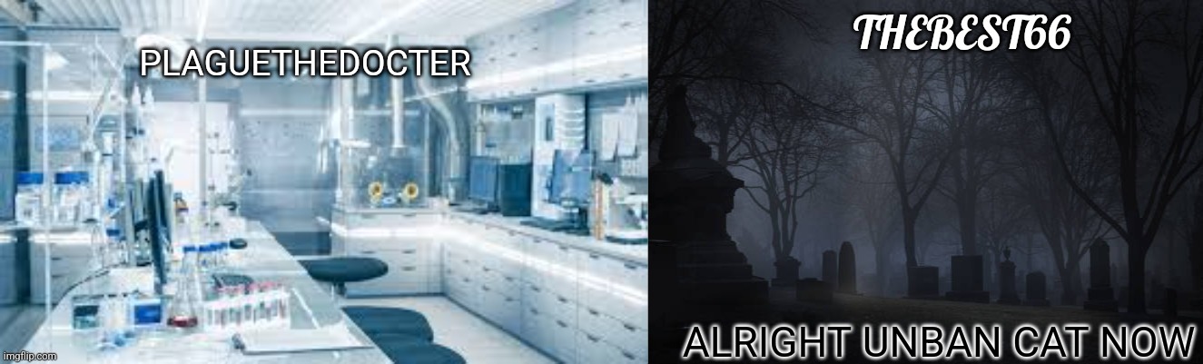 Plaguethedocter and Thebest66 | ALRIGHT UNBAN CAT NOW | image tagged in plaguethedocter and thebest66 | made w/ Imgflip meme maker