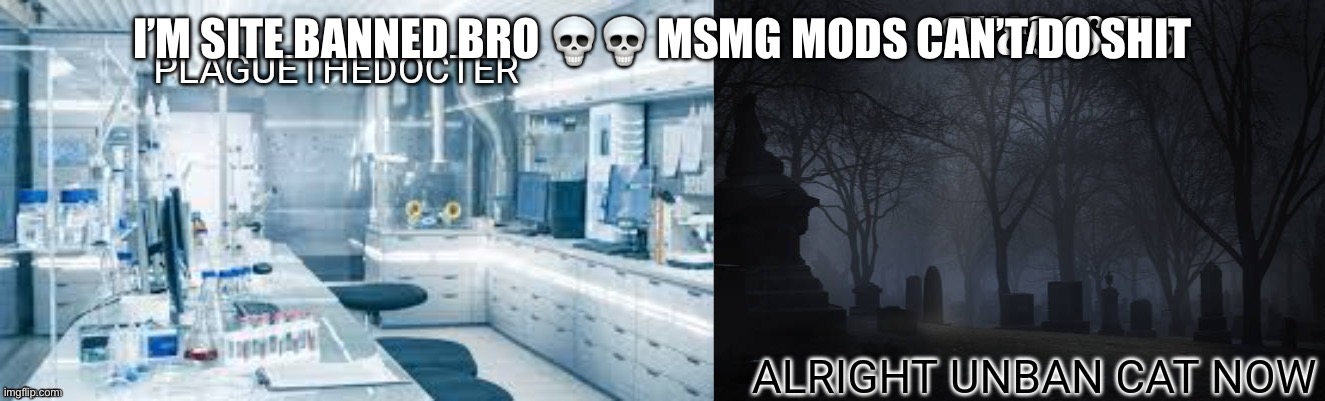 I’M SITE BANNED BRO 💀💀 MSMG MODS CAN’T DO SHIT | made w/ Imgflip meme maker