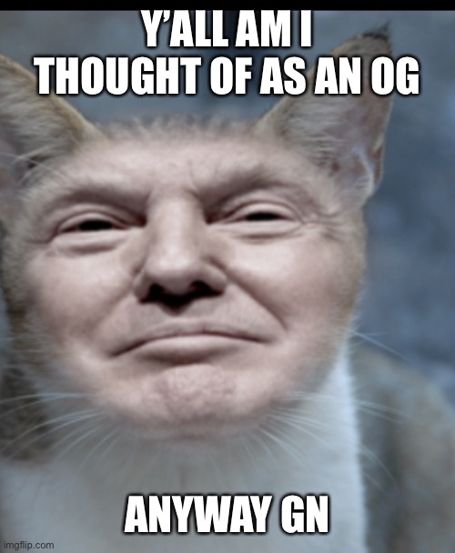 Donald trump cat | Y’ALL AM I THOUGHT OF AS AN OG; ANYWAY GN | image tagged in donald trump cat | made w/ Imgflip meme maker