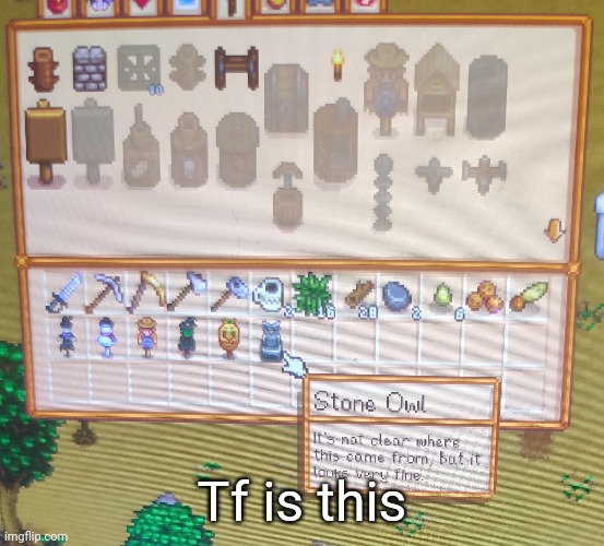 I got this at the start of the second year (stardew valley) | Tf is this | made w/ Imgflip meme maker