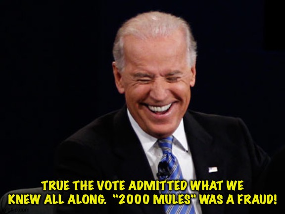 They admitted they had no evidence in court! | TRUE THE VOTE ADMITTED WHAT WE KNEW ALL ALONG.  "2000 MULES" WAS A FRAUD! | image tagged in 2000 mules | made w/ Imgflip meme maker