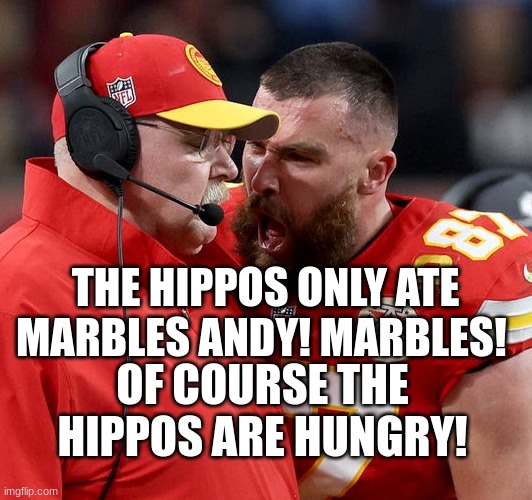 Travis Kelce screaming | THE HIPPOS ONLY ATE MARBLES ANDY! MARBLES! OF COURSE THE HIPPOS ARE HUNGRY! | image tagged in travis kelce screaming | made w/ Imgflip meme maker