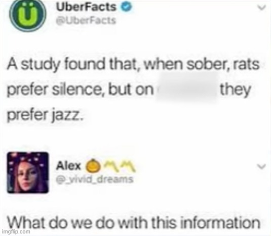 image tagged in uber,facts,rats,sober,drunk,jazz | made w/ Imgflip meme maker