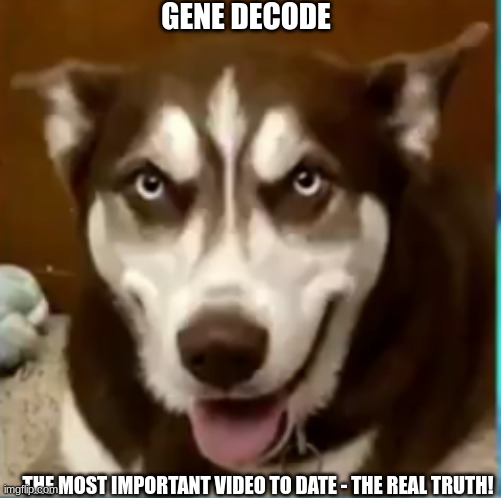 Gene Decode: The Most Important Video to Date - The Real Truth! (Video) 