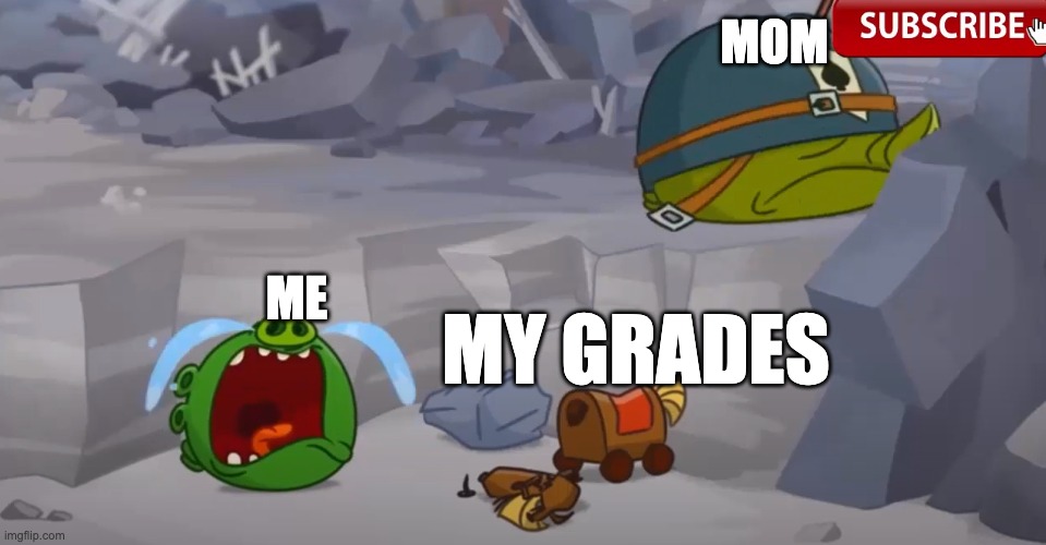 Sad Small minion pig | MOM; ME; MY GRADES | image tagged in sad small minion pig | made w/ Imgflip meme maker