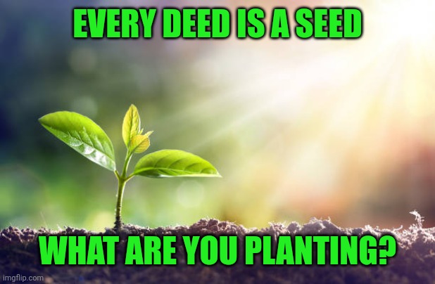 grow | EVERY DEED IS A SEED; WHAT ARE YOU PLANTING? | image tagged in grow | made w/ Imgflip meme maker