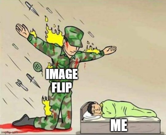 image flip     me | IMAGE FLIP; ME | image tagged in soldier protecting sleeping child | made w/ Imgflip meme maker