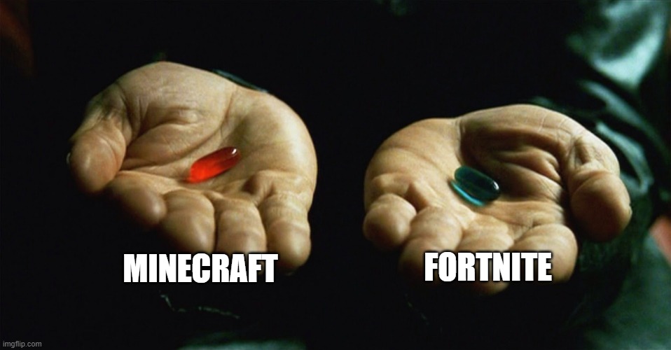 minecraft or fortnite | MINECRAFT; FORTNITE | image tagged in red pill blue pill | made w/ Imgflip meme maker