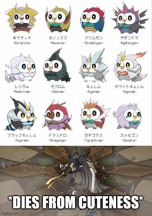 I'm glad I choose Rowlet as my first starter in sun and moon. | *DIES FROM CUTENESS* | image tagged in funny,rowlet,dragon | made w/ Imgflip meme maker
