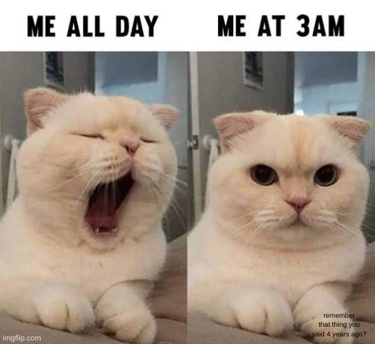 Image Title | remember that thing you said 4 years ago? | image tagged in cat,tired,yawning,sleep,why are you reading the tags | made w/ Imgflip meme maker