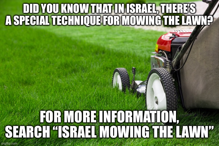 Lawn Mower | DID YOU KNOW THAT IN ISRAEL, THERE’S A SPECIAL TECHNIQUE FOR MOWING THE LAWN? FOR MORE INFORMATION, SEARCH “ISRAEL MOWING THE LAWN” | image tagged in lawn mower | made w/ Imgflip meme maker