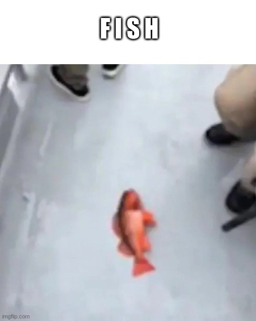 You know what that means... | F I S H | image tagged in fish | made w/ Imgflip meme maker
