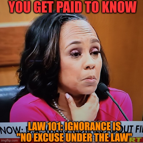 Yer Fie Uhd ! | YOU GET PAID TO KNOW; LAW 101: IGNORANCE IS "NO EXCUSE UNDER THE LAW" | image tagged in memes,funny memes | made w/ Imgflip meme maker